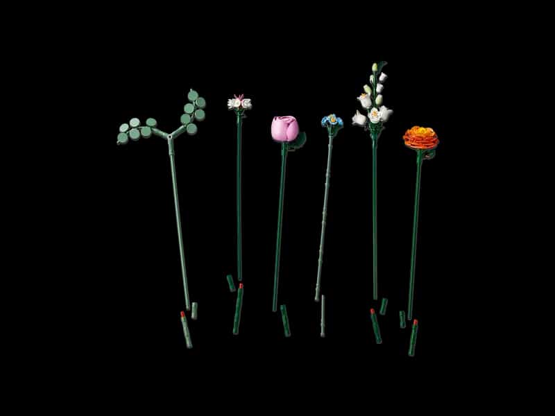 thumb-6
