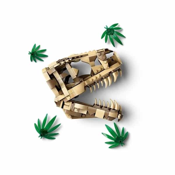 thumb-3