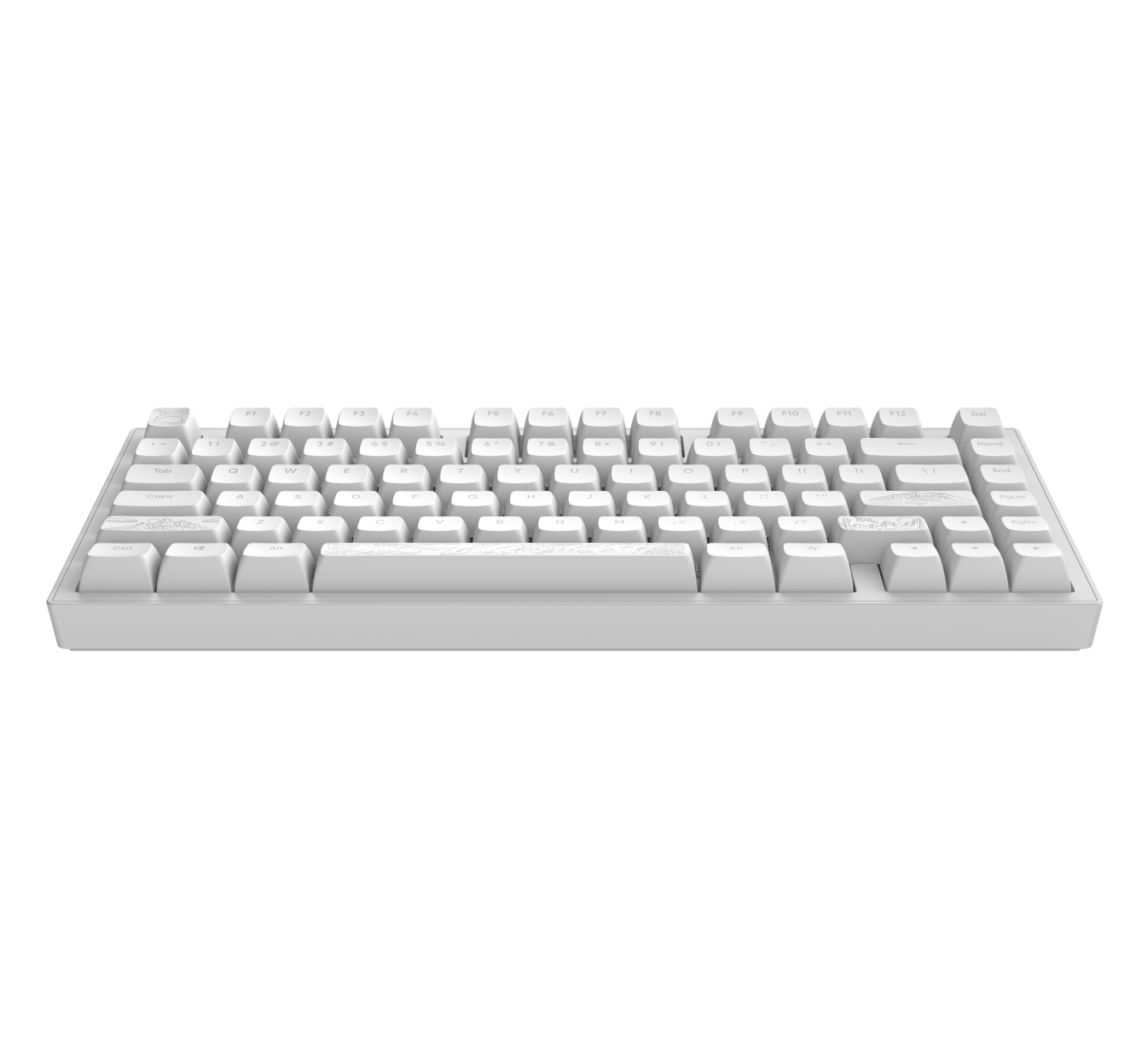 კლავიატურა Dark Project ALU81A Terra Nostra, Wired, RGB, USB, Gaming Keyboard, White