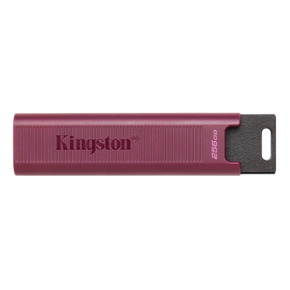 Kingston 256GB USB 3.2 Type-A Gen 2 DT Max