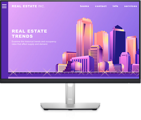 მონიტორი DELL Monitor LCD 24" P2422H