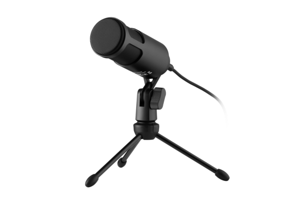 მიკროფონი 2E MPC010 PC Microphone, USB