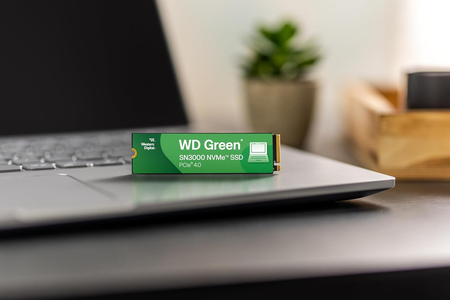 SSD დისკი WD 2Tb Green SN3000 (WDS200T4G0E) internal SSD, M.2, 2000 GB, PCIe Gen4 x4,  NVMe, read: 5000 MB/sec, write: 4200 MB/sec, 