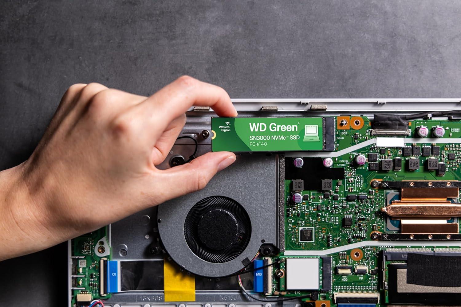 SSD დისკი WD 2Tb Green SN3000 (WDS200T4G0E) internal SSD, M.2, 2000 GB, PCIe Gen4 x4,  NVMe, read: 5000 MB/sec, write: 4200 MB/sec, 