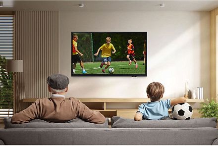 ტელევიზორი TV/ LED/ Samsung/ TV 43"(109cm)/ UE43F6000FUXRU FHD