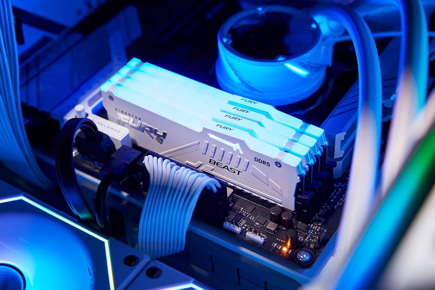 ოპერატიული მეხსიერება Kingston FURY Beast White RGB EXPO 16GB (1x16GB) DDR5 6000MT/s CL36 36-44-44 1.35V 288-pin (KF560C36BWE2A-16)