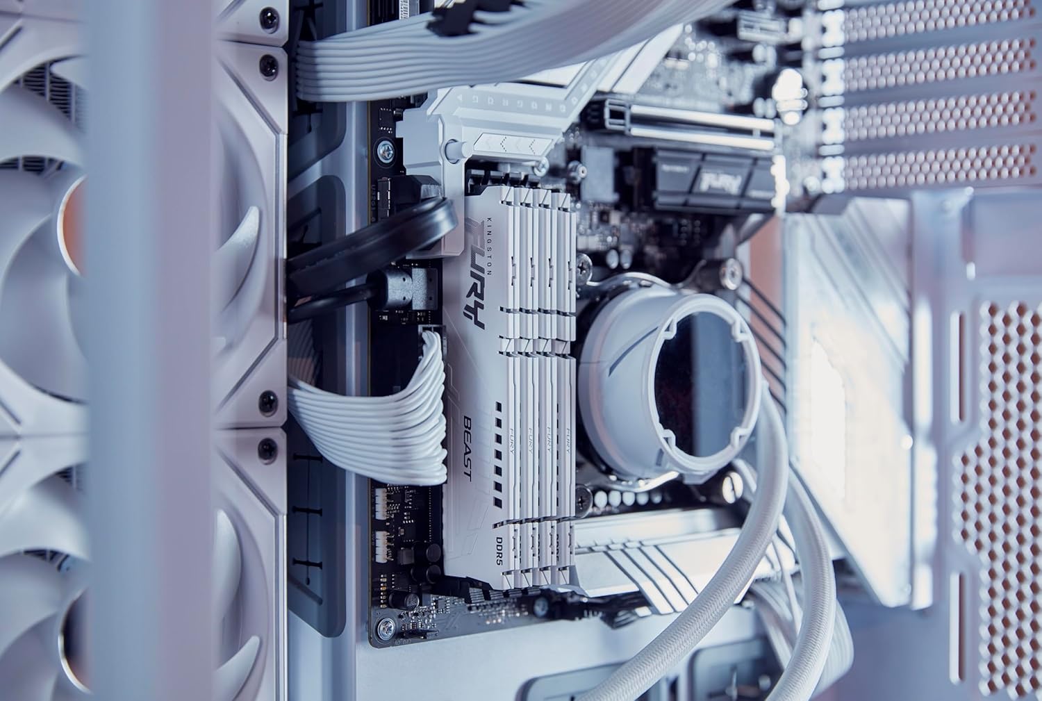 ოპერატიული მეხსიერება Kingston 16GB (1x16GB) DDR5 6800MT/s CL34 FURY Beast White EXPO (KF568C34BWE-16) | 34-45-45 1.4V 288-pin 16Gbit