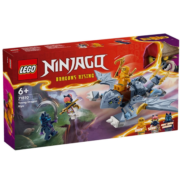 Constructor LEGO Young Dragon Riyu